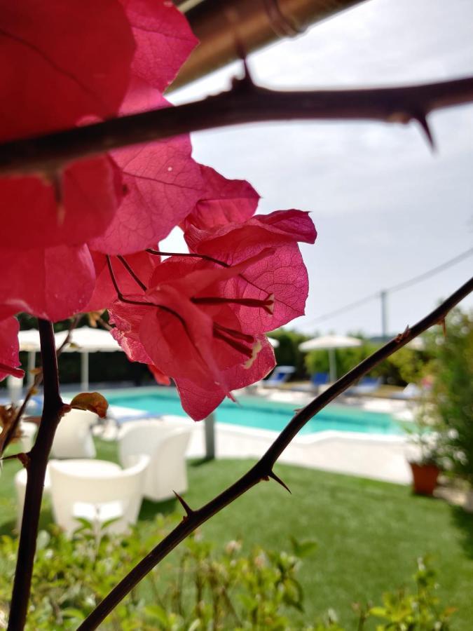 Natur Hotel Tanca Cardedu Buitenkant foto