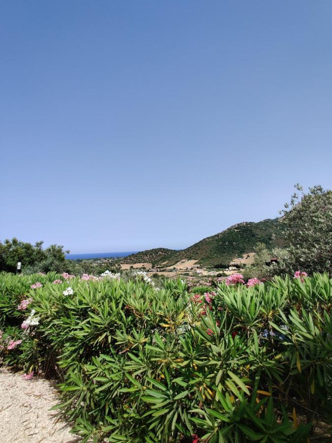 Natur Hotel Tanca Cardedu Buitenkant foto