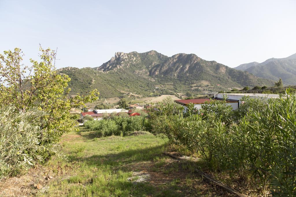 Natur Hotel Tanca Cardedu Buitenkant foto
