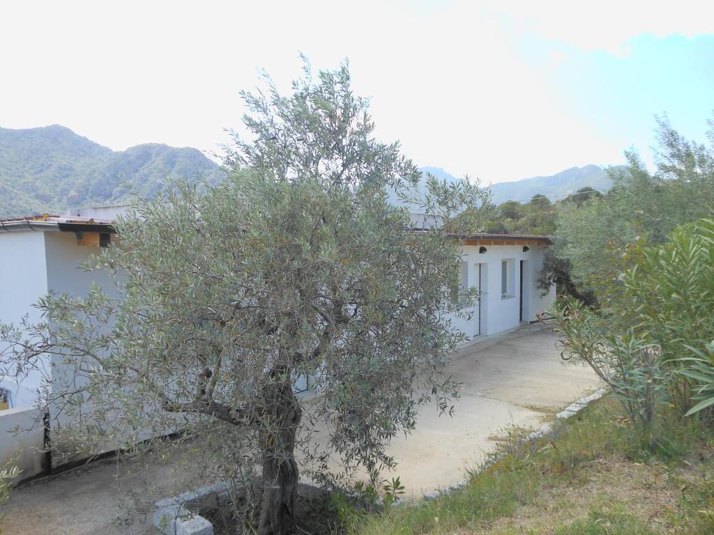 Natur Hotel Tanca Cardedu Buitenkant foto
