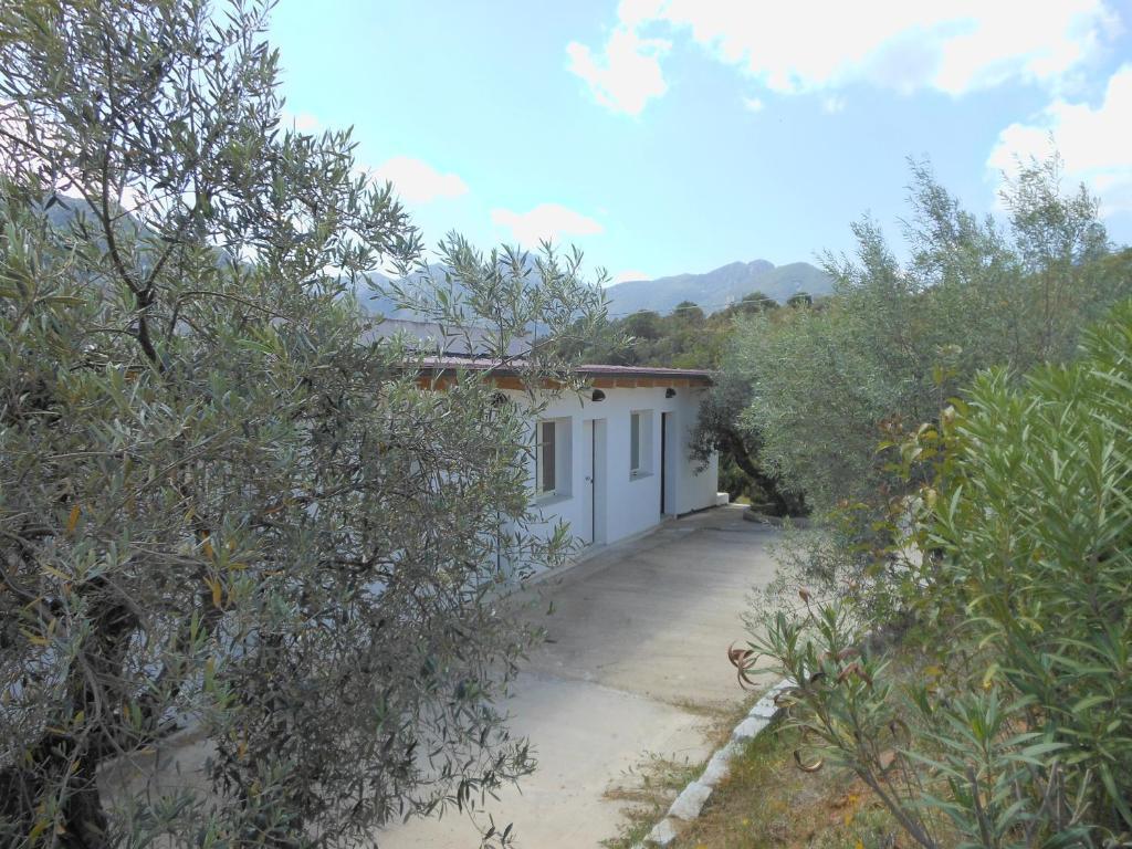 Natur Hotel Tanca Cardedu Buitenkant foto